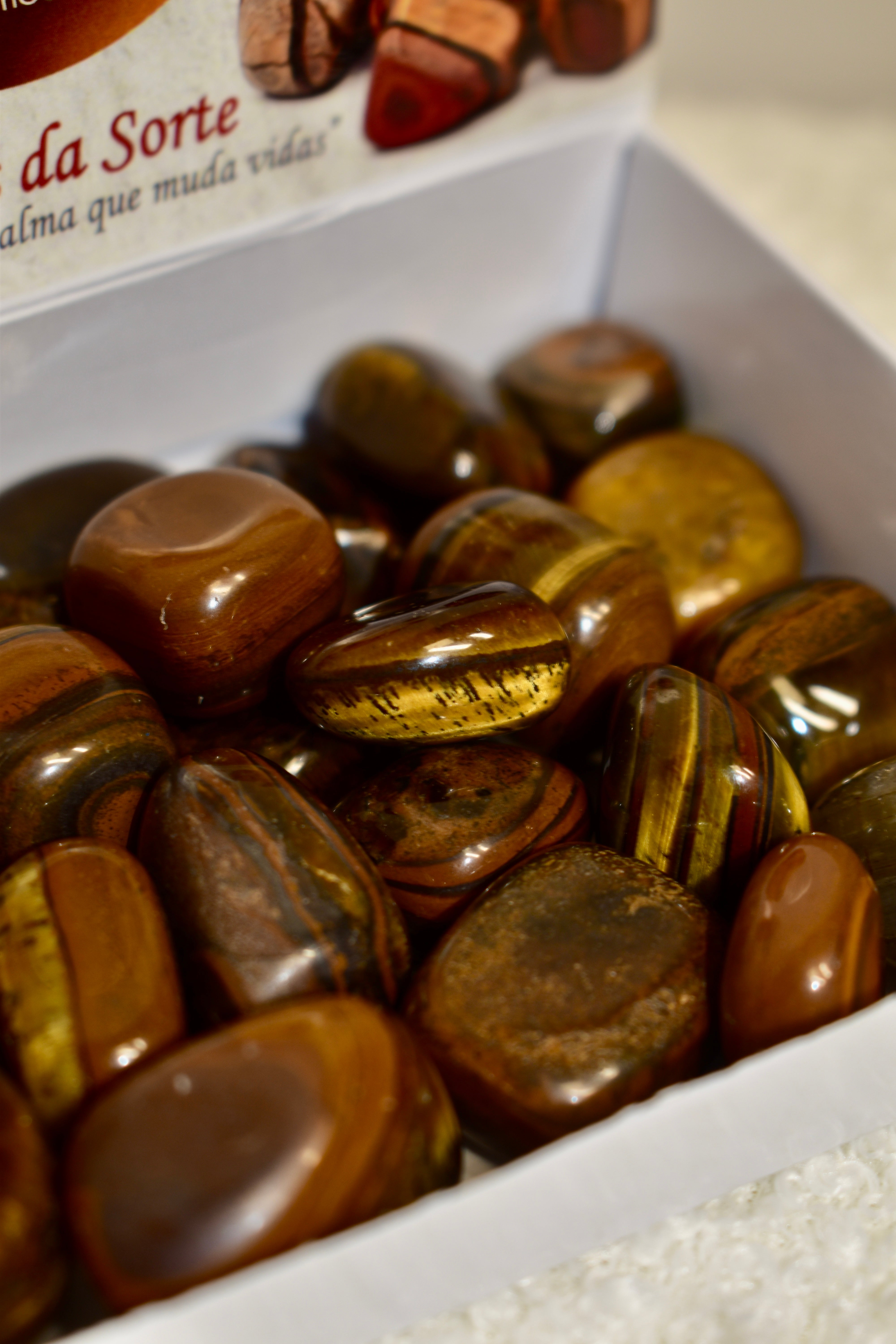 Tiger’s Eye / Olho de tigre