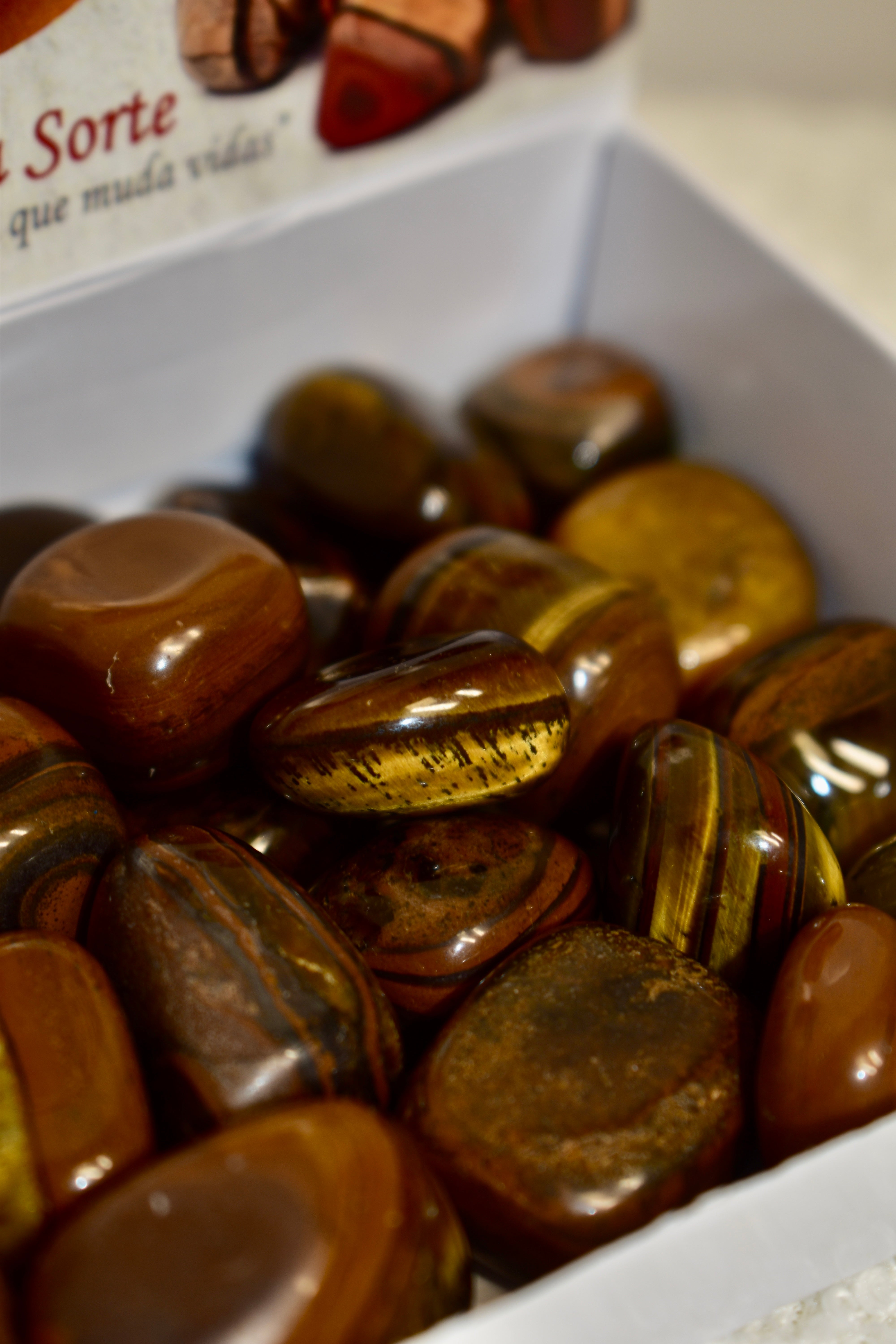 Tiger’s Eye / Olho de tigre